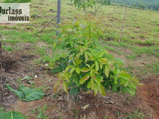 Chácara para Venda em Toledo - 4