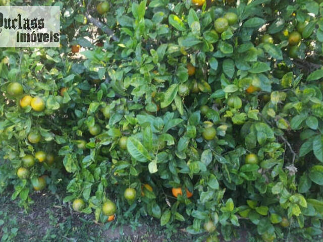 Chácara para Venda em Toledo - 5