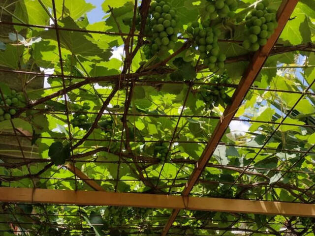 Chácara para Venda em Atibaia - 5