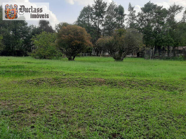 Chácara para Venda em Elias Fausto - 4