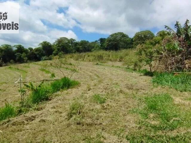 Chácara para Venda em Vargem - 5