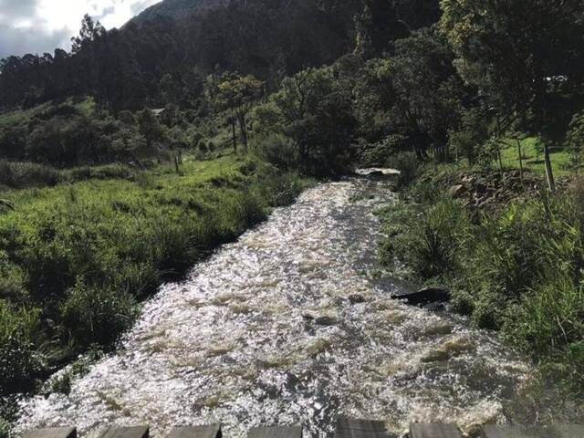 Sítio para Venda em Urubici - 4
