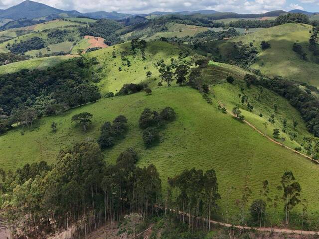 #AR0051 - Área para Venda em Camanducaia - MG - 1