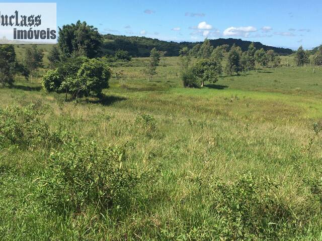 #FA0010 - Fazenda para Venda em Araruama - RJ - 2
