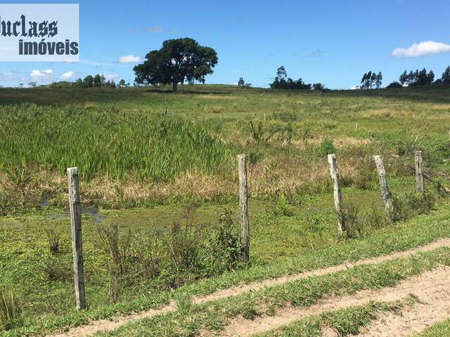 #FA0010 - Fazenda para Venda em Araruama - RJ - 3