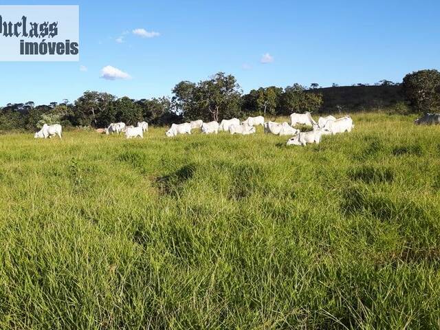 #FA0011 - Fazenda para Venda em Arinos - MG - 2