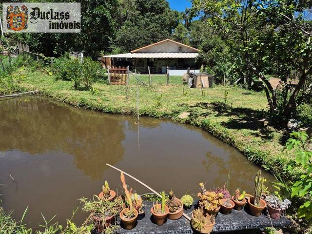 #CH0234 - Chácara para Venda em Pedra Bela - SP - 1