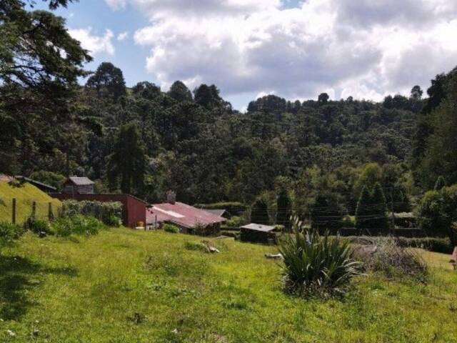 #TE0466 - Terreno para Venda em Campos do Jordão - SP - 1