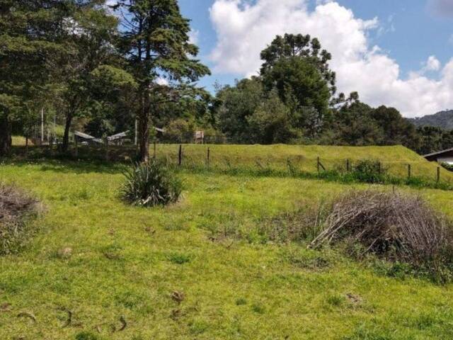 #TE0466 - Terreno para Venda em Campos do Jordão - SP - 2