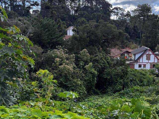 #TE0467 - Área para Venda em Campos do Jordão - SP - 2