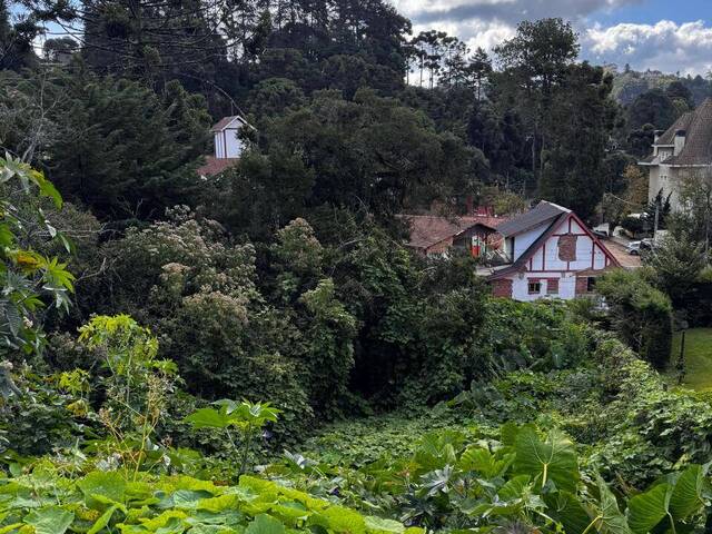 #TE0467 - Área para Venda em Campos do Jordão - SP - 3