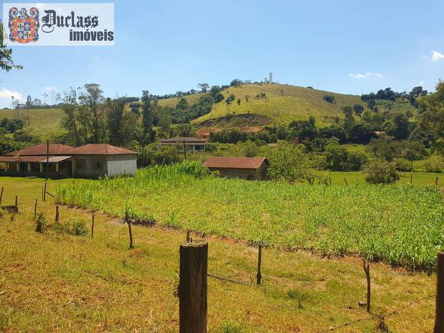 #si0059 - Sítio para Venda em Cambuí - MG - 1