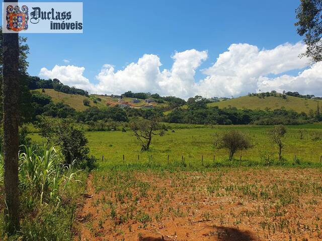 #si0059 - Sítio para Venda em Cambuí - MG - 3