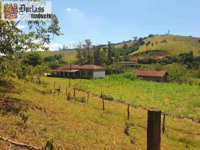 Sítio para Venda em Cambuí - 4