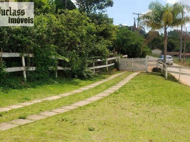 #CH0239 - Chácara para Venda em Pedra Bela - SP - 3