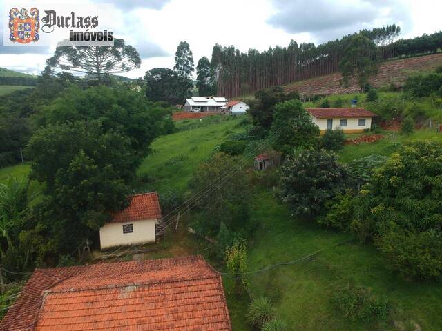 #CH0239 - Chácara para Venda em Pedra Bela - SP - 2