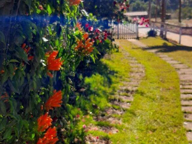 #CH0239 - Chácara para Venda em Pedra Bela - SP - 1