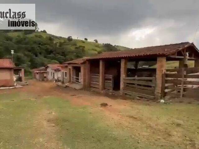 #SI0060 - Sítio para Venda em Pedra Bela - SP - 1