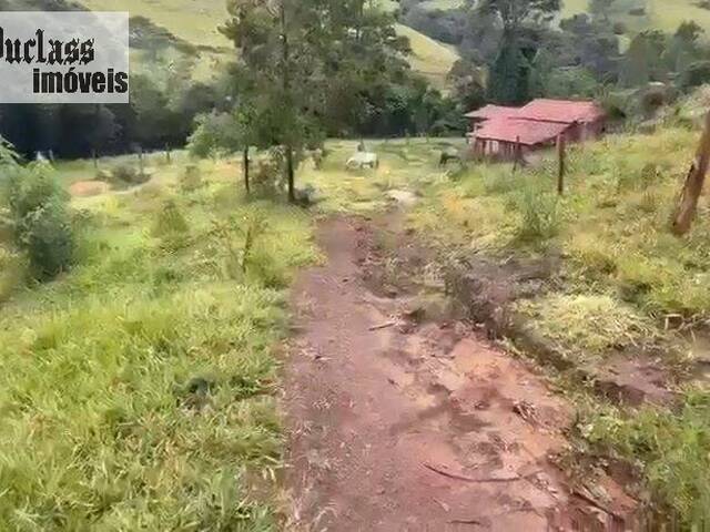 Sítio para Venda em Pedra Bela - 4