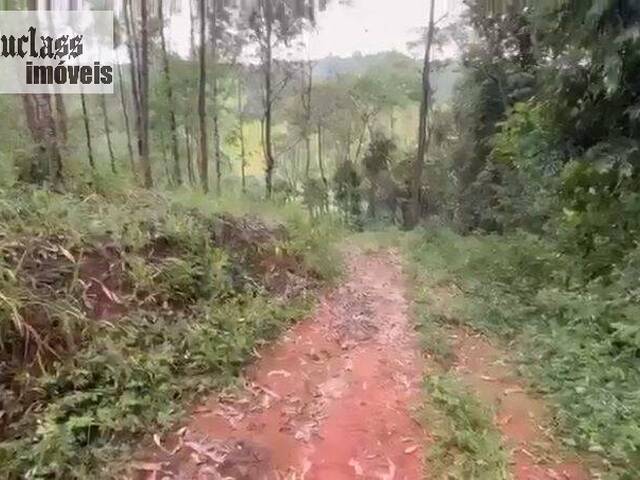 Sítio para Venda em Pedra Bela - 5