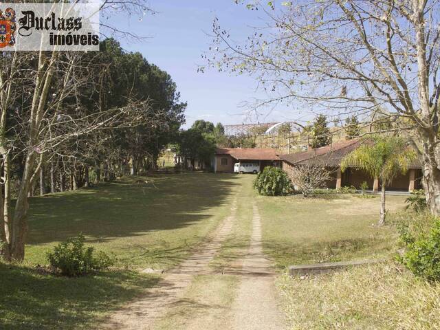 #SI0062 - Sítio para Venda em Itapeva - MG - 2