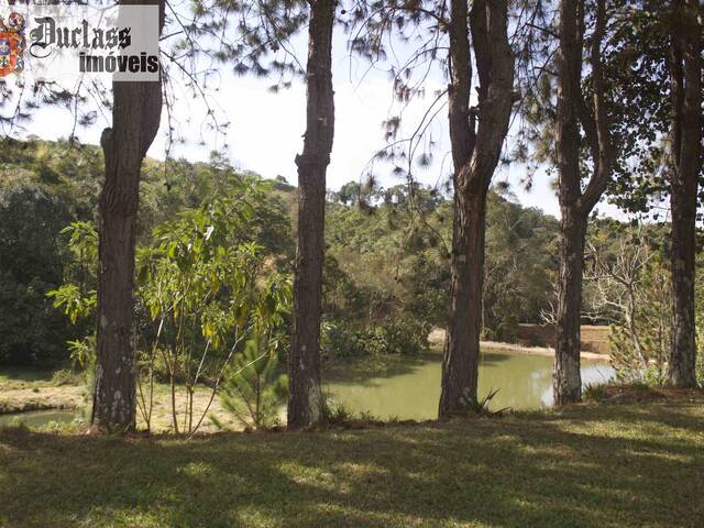 #SI0062 - Sítio para Venda em Itapeva - MG - 3