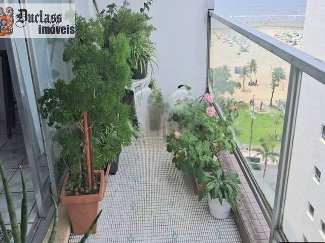 Venda em Gonzaga - Santos