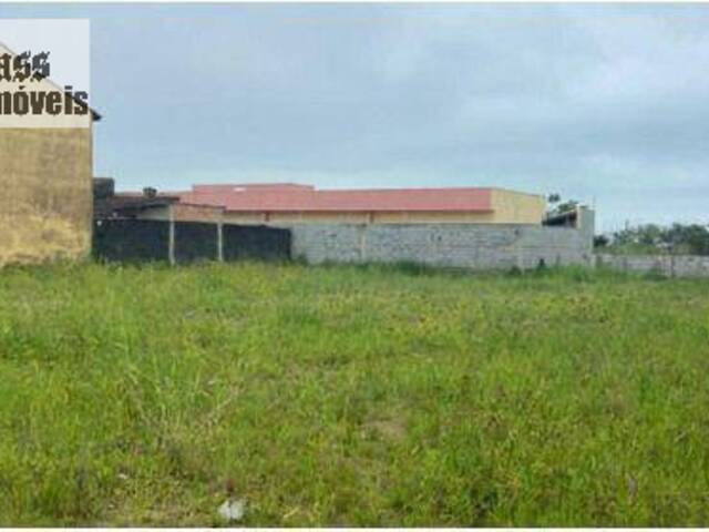 #TE0499 - Terreno para Venda em Itanhaém - SP - 2