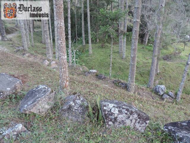 #SI0067 - Chácara para Venda em Bragança Paulista - SP - 2