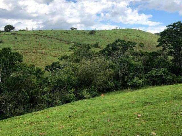 #FA0012 - Fazenda para Venda em Jambeiro - SP - 2
