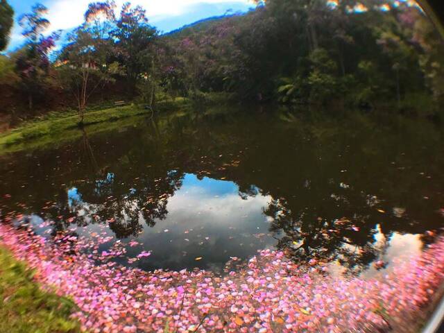 Chácara para Venda em Nazaré Paulista - 4