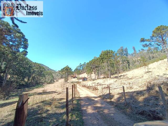 #SI0070 - Sítio para Venda em Camanducaia - MG - 3