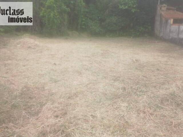 #TE0526 - Terreno para Venda em Bertioga - SP - 2