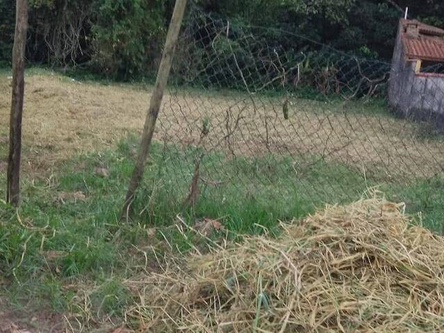 #TE0526 - Terreno para Venda em Bertioga - SP - 3