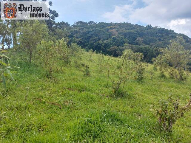 Área para Venda em Camanducaia - 5