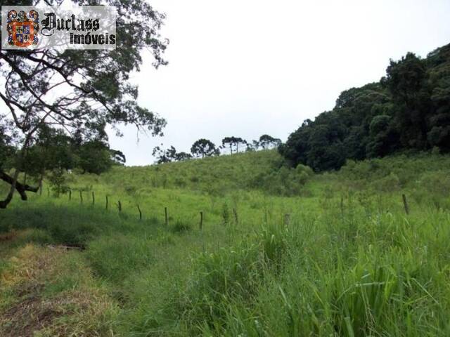 Área para Venda em Camanducaia - 2