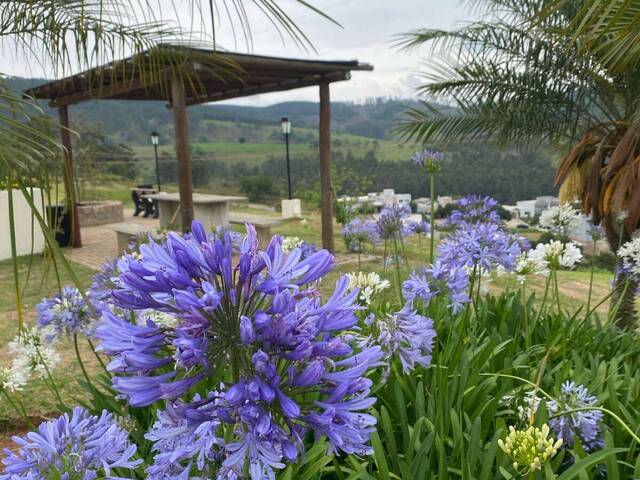 Terreno para Venda em Bragança Paulista - 5