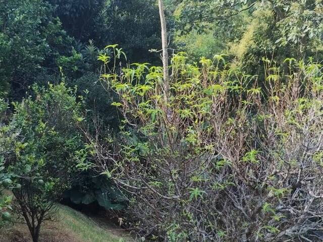 Sobrado para Venda em Atibaia - 3