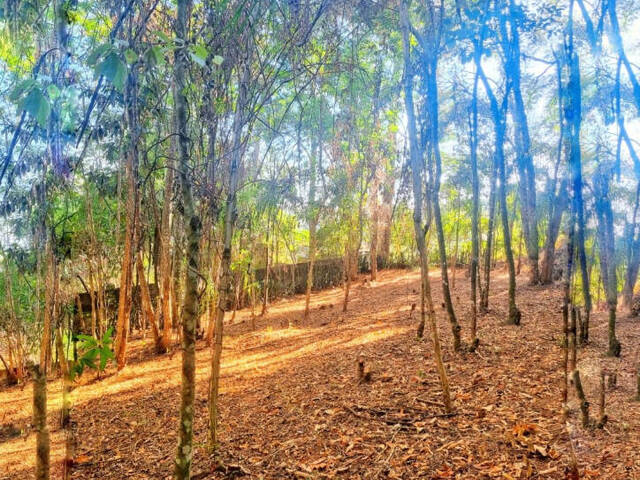 Terreno para Venda em Atibaia - 3