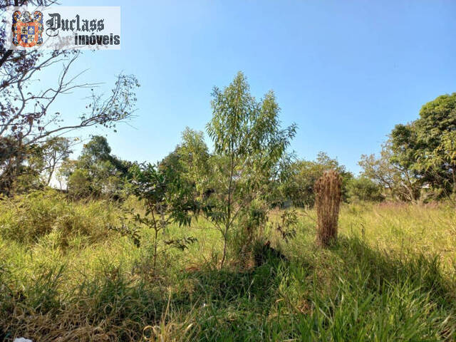 #TE0385 - Terreno em condomínio para Venda em Piracaia - SP - 3