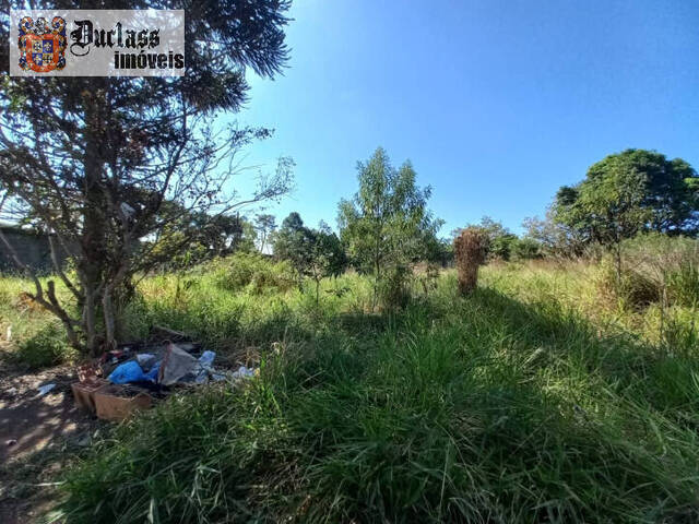 #TE0380 - Terreno em condomínio para Venda em Piracaia - SP - 2
