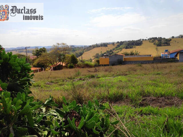 #TE0329 - Terreno para Venda em Tuiuti - SP - 3