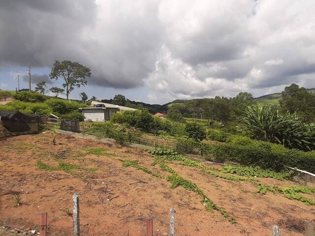 Chácara para Venda em Toledo - 3