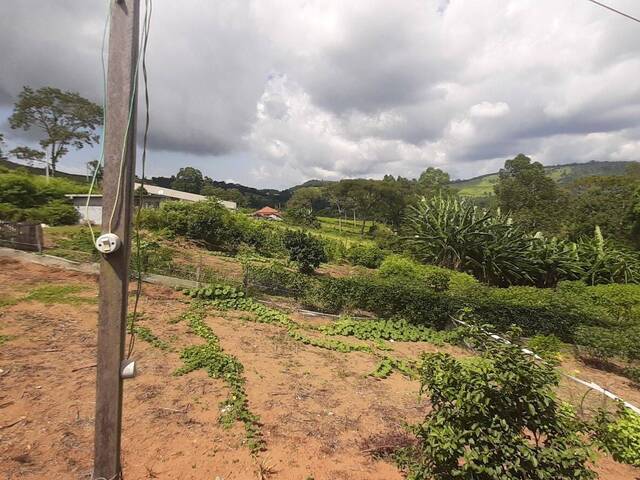 Chácara para Venda em Toledo - 5