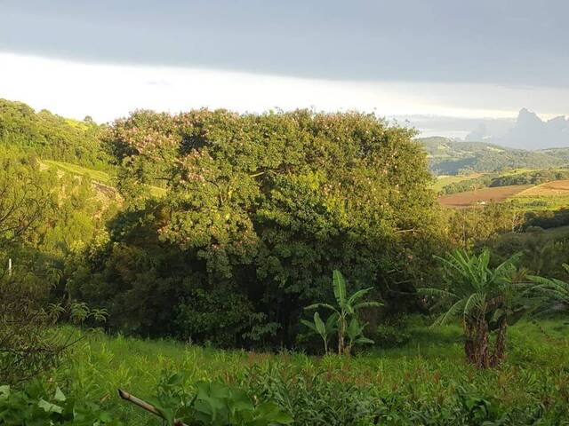 Chácara para Venda em Toledo - 3
