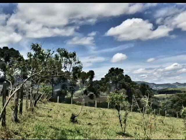 Terreno para Venda em Joanópolis - 3