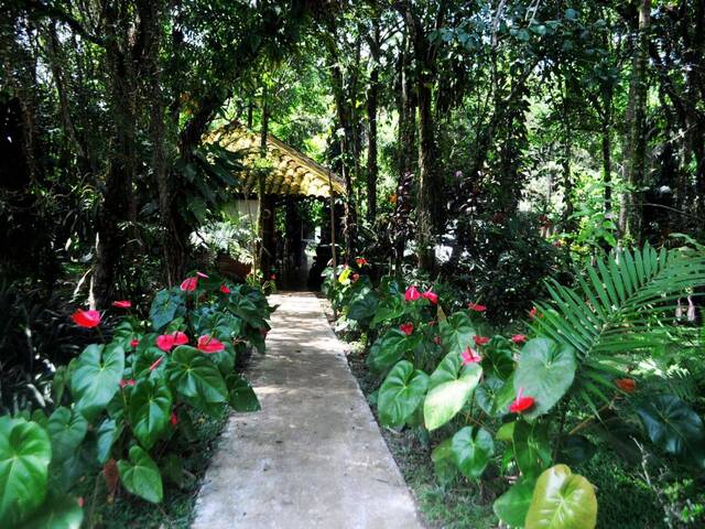 Chácara para Venda em São Bernardo do Campo - 4