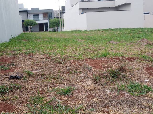 Venda em São Bento - Paulínia