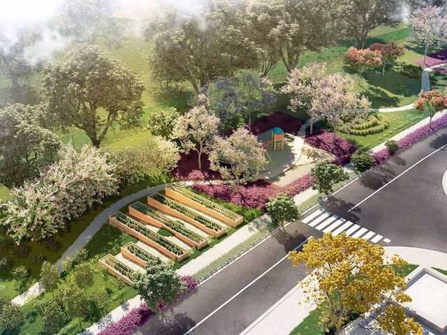 Terreno para Venda em Paulínia - 3