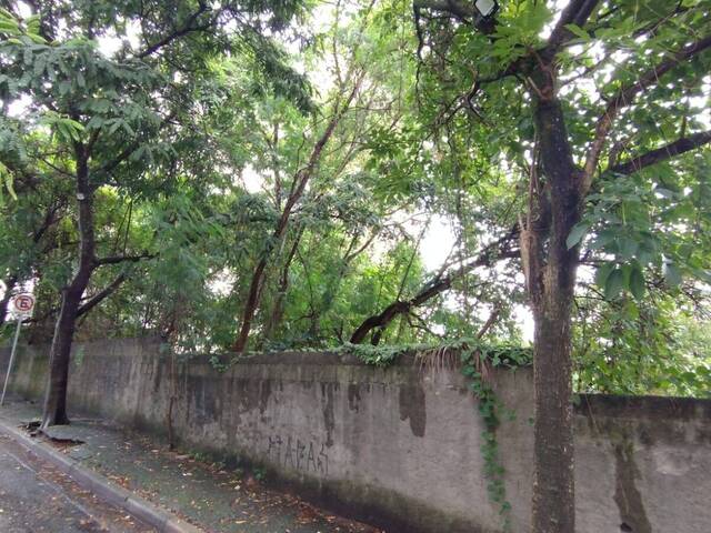 Terreno para Venda em São Paulo - 4